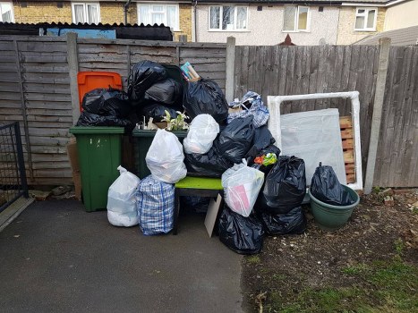 Commercial garden clearance improving business premises in Rotherhithe